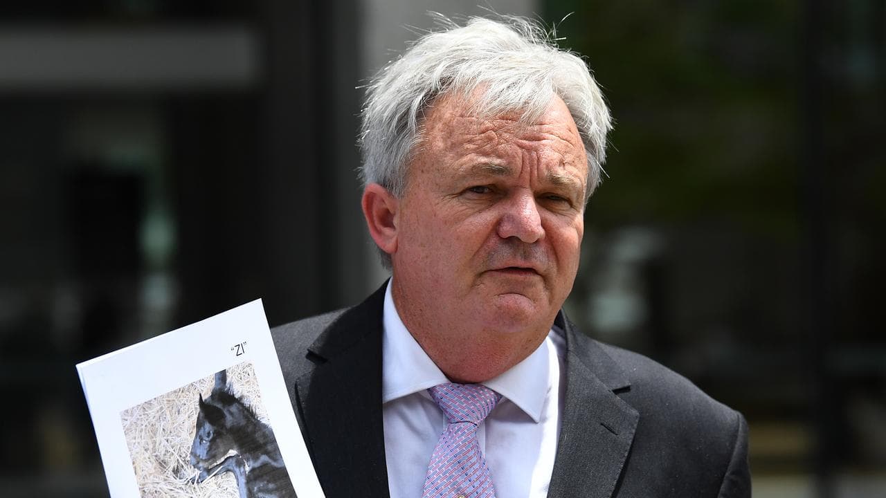 Foster's sister seeks costs payment from scam victims