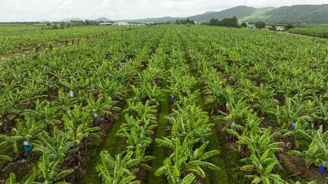 Sustainable farming method undergoes a growth spurt