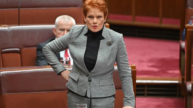 Hanson misleads with voice claims about a new 'Black state'