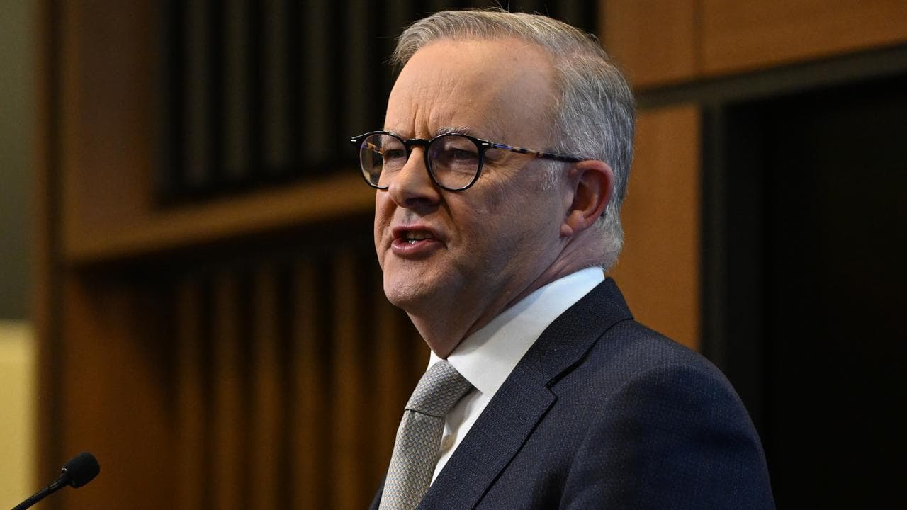 Albanese didn’t say voice opponents are 'racist'