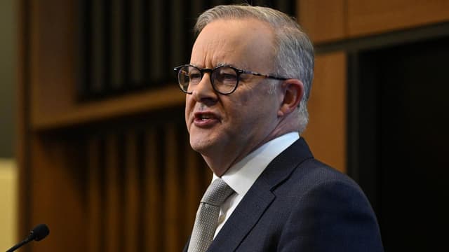 Albanese didn’t say voice opponents are 'racist'