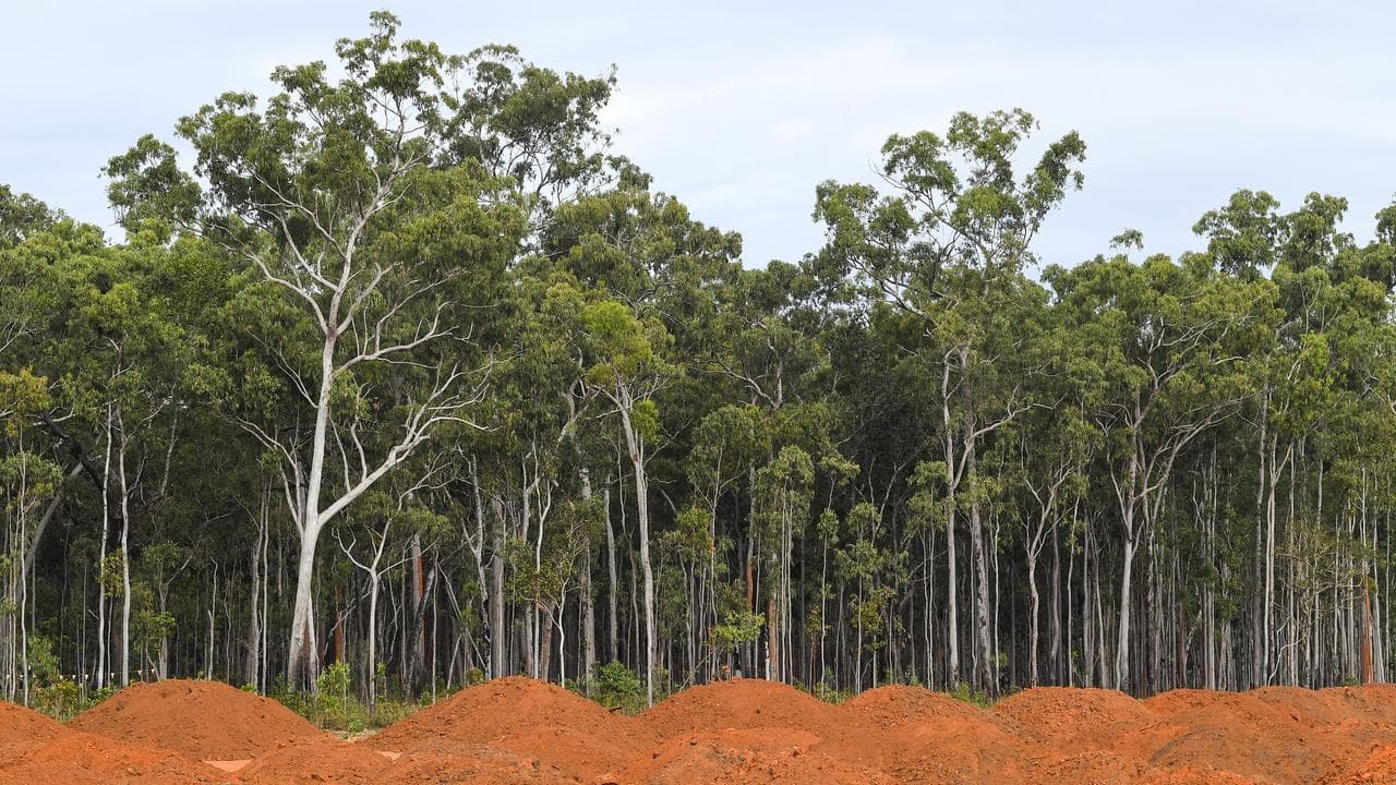 Land-clearing slows but Great Barrier Reef fears remain