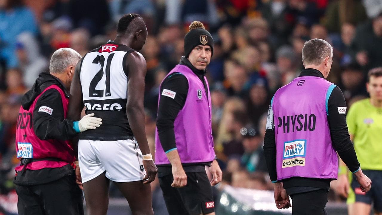 Hinkley backs Power doctor despite concussion blunder