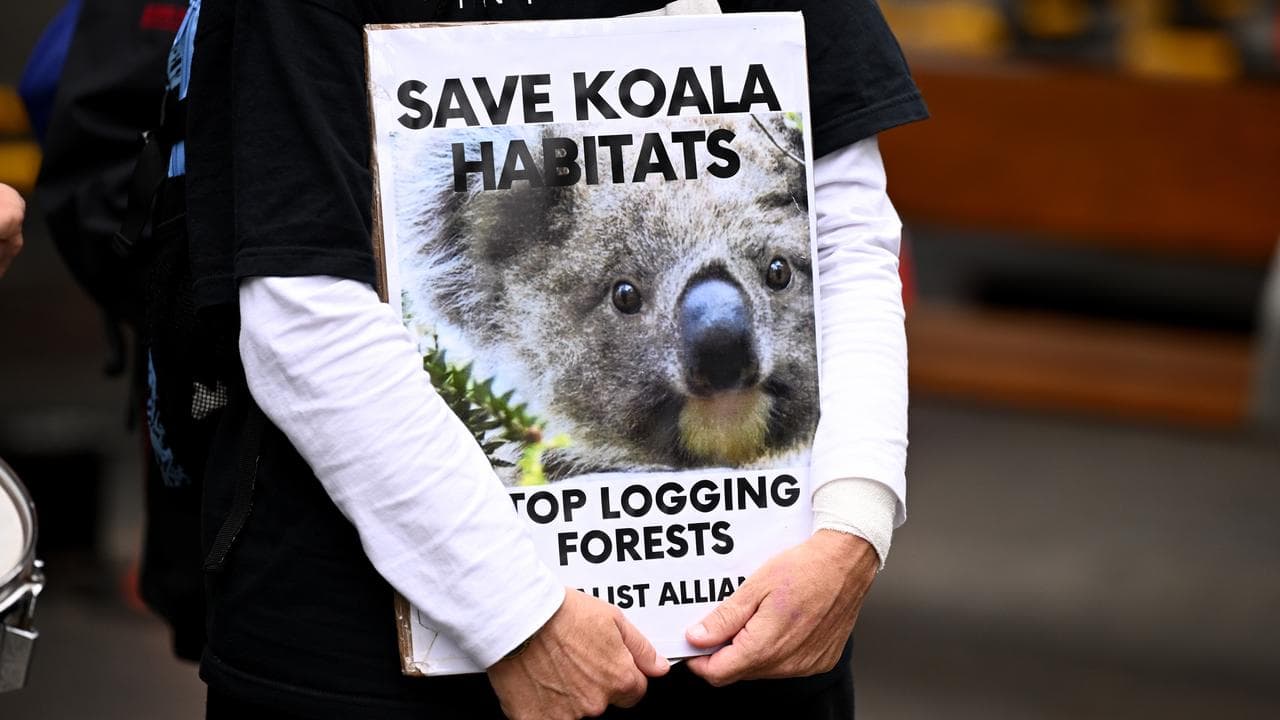 Protections urged for threatened forestry workers