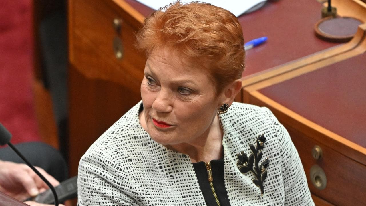 Hanson wrong to say MPs would have to consult the voice