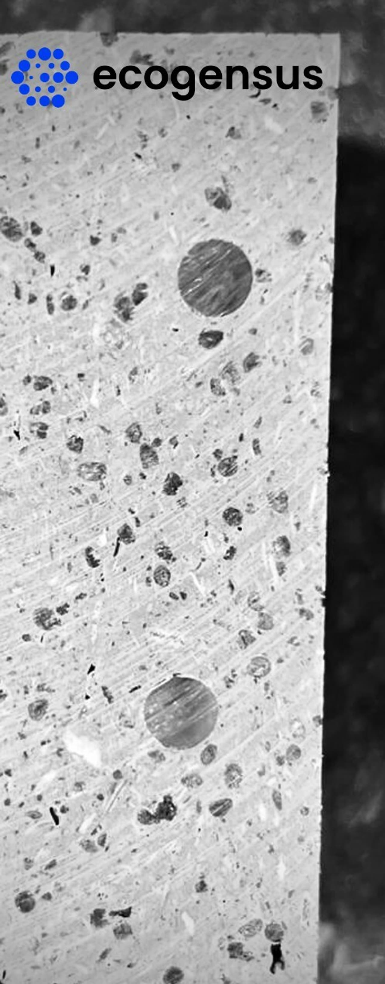 Ecogensus Announces Groundbreaking Reinforced Sustainable Composite Material