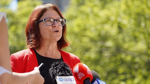 Family law changes will protect women, children: expert