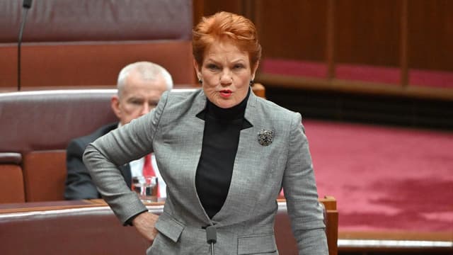 Student avoids conviction for Pauline Hanson threats