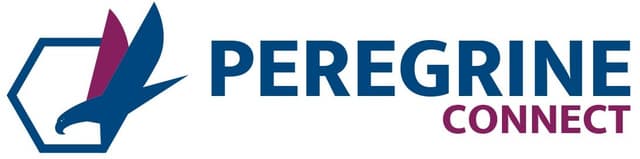 Elektro Gorenjska Reduces Development Time by 90% with Peregrine Connect's Low-Code Integration Platform