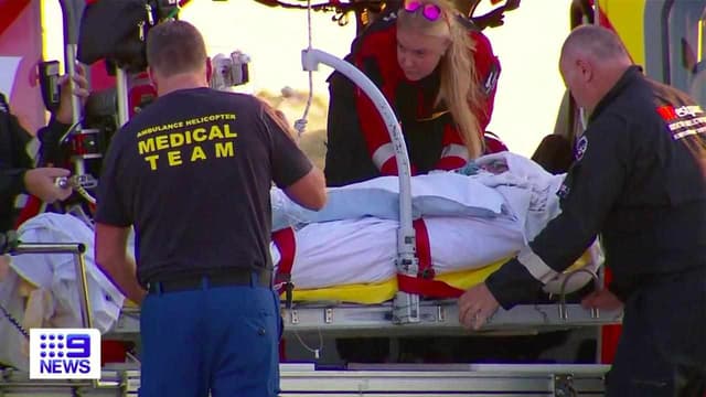 Shark victim stable but with 'life-changing' injuries