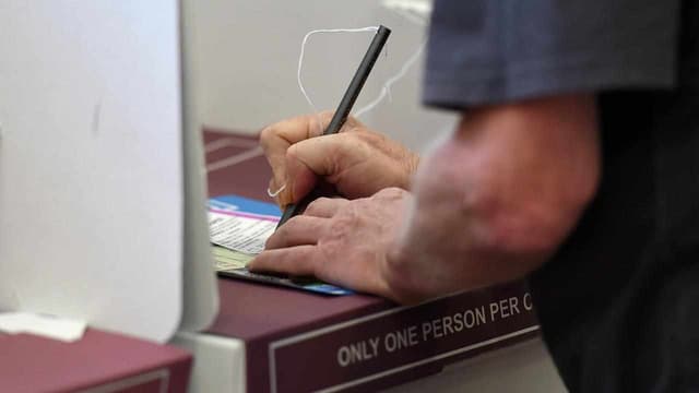 Posts tick all the boxes for voice voting misinformation