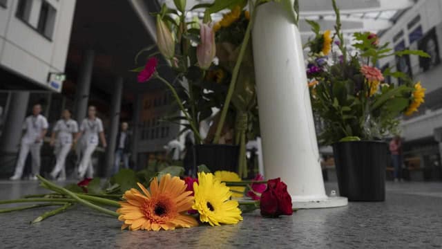 Student gunman kills three in Dutch university shooting