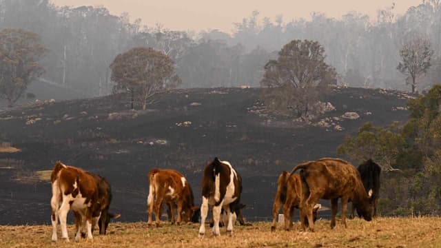 Brief reprieve for fire crews ahead of hot, dry weather