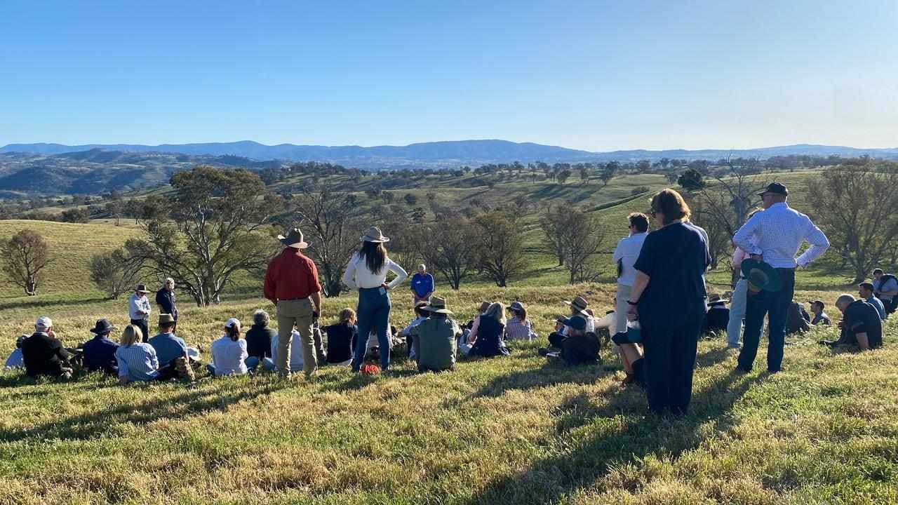 Holistic farming call: 'it's the how not the cow'