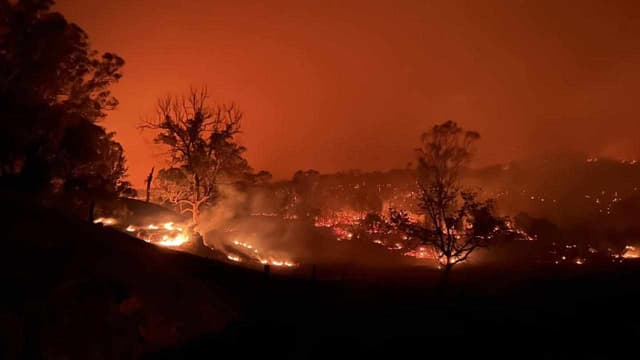 Tributes for man who died trying to save farm from fire