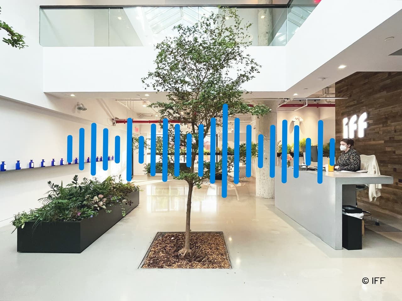 IFF Launches Sound Logo to Illustrate Multi-sensory Dimensions of Scent