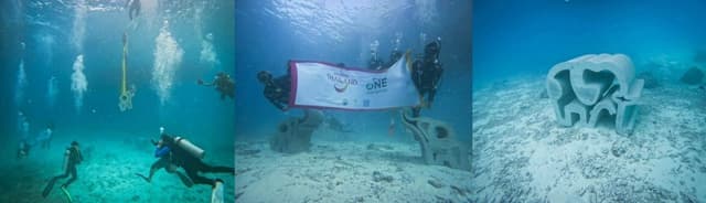 TAT concludes the second edition of "The One for Nature" campaign