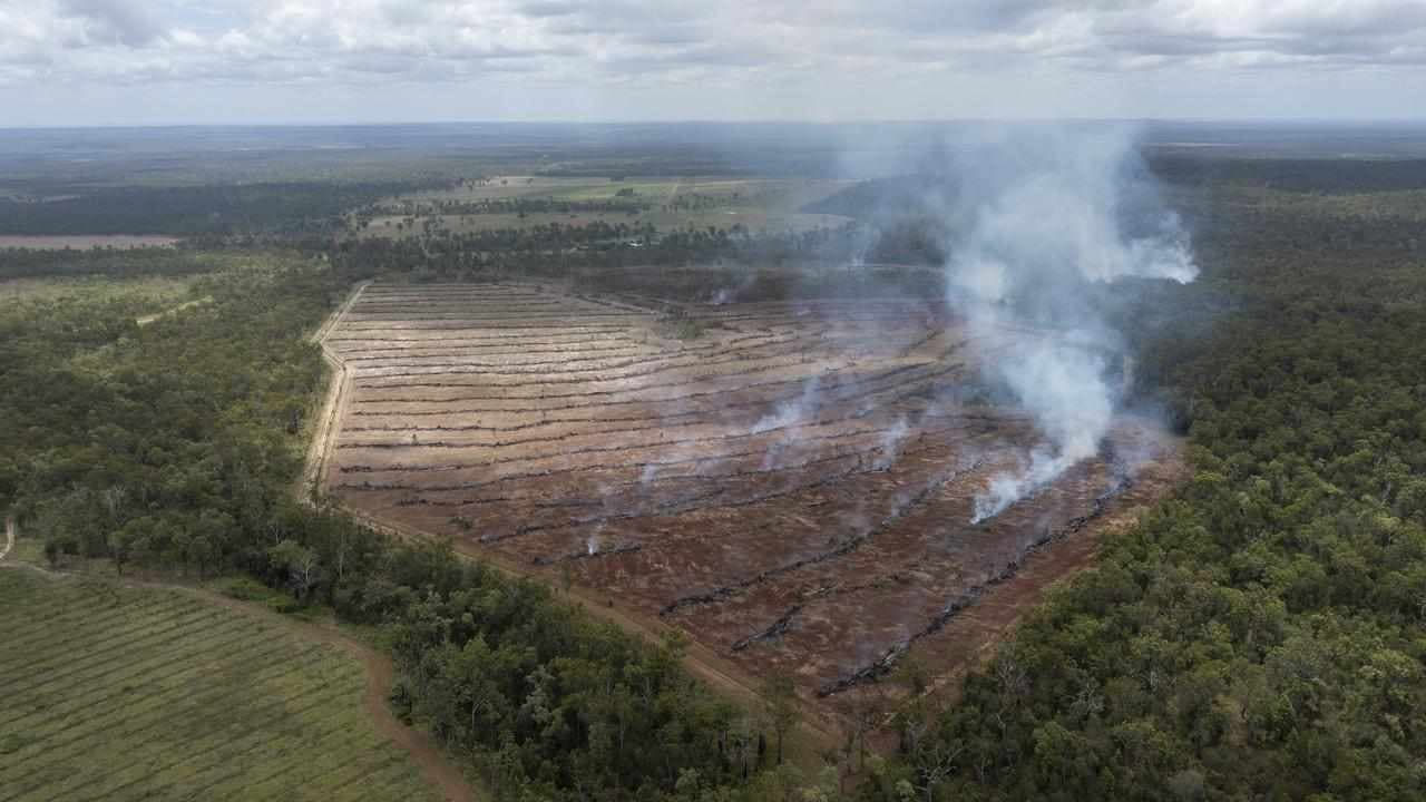 Company directors face nature-related risk: opinion