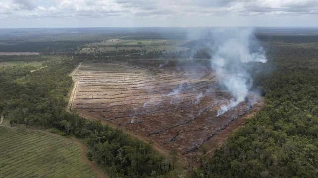 Company directors face nature-related risk: opinion