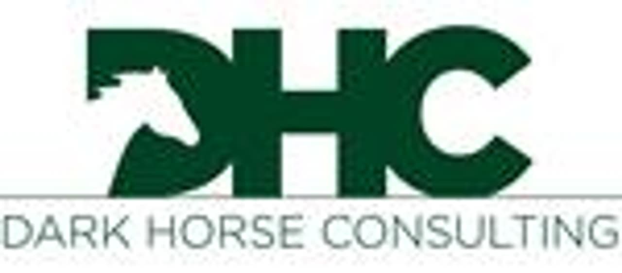 Dark Horse Consulting Group Announces Launching of DHC Asia Pacific, Hiring of John Ng as General Manager