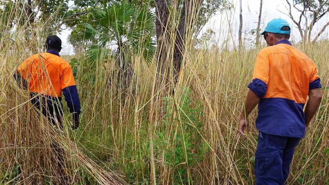First Nations wisdom harnessed to protect environment