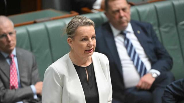 Domestic violence victims remembered as MPs urge action