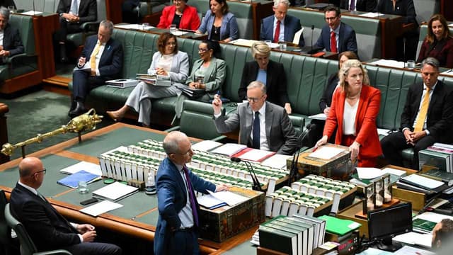 Bans on Nazi symbols and salute pass lower house
