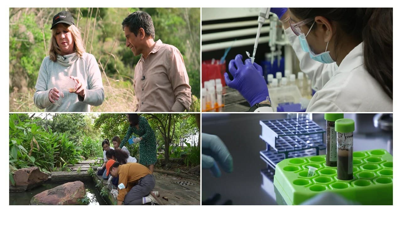 CNN's 'Vital Signs' explores the prospects of phage therapy to treat drug-resistant superbugs