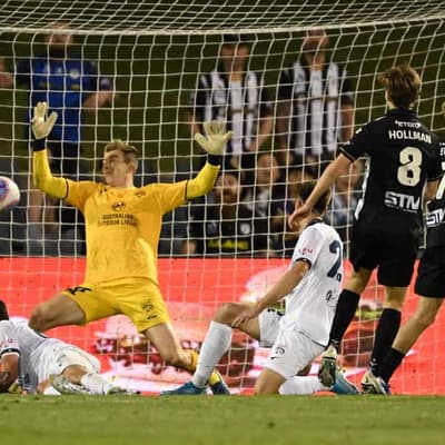 Veart blasts Adelaide's hunger in late ALM loss