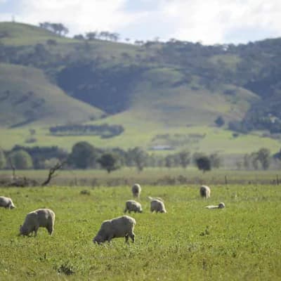 Drier conditions to drive down agricultural production