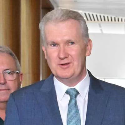 Engineered stone ban closer after federal support