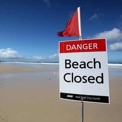 Man seriously injured in shark attack