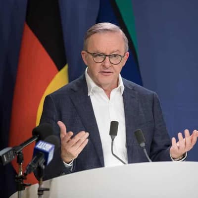 Albanese flags immigration system overhaul