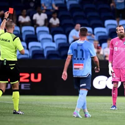 Red for Redmayne as Macarthur down Sydney in ALM