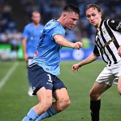 Sterjovski buoyed by Hollman's hot form for Macarthur