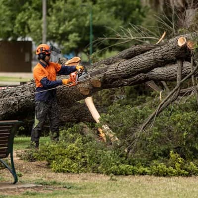 Thunderstorm warning threatens large hail, wind, rain