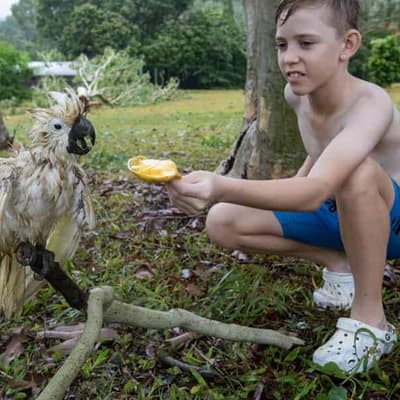 Jasper loses sting but floods and wind wreak havoc