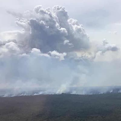 Rain brings relief to NSW fire grounds but risk remains