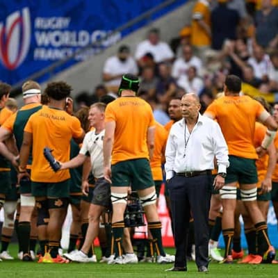 Ireland link has Schmidt as Wallabies coach contender