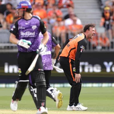 Scorchers skipper Turner to miss rest of BBL campaign