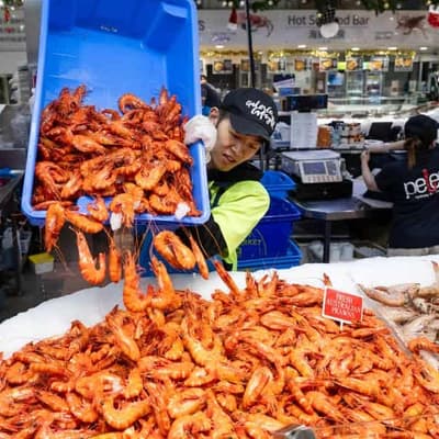 Fish markets gear up for Xmas, with mild weather likely