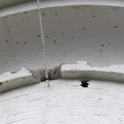 Grand lighthouse gets $2m makeover after cocky attack