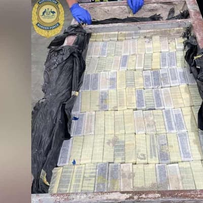 Border agents block massive drug imports over 12 months