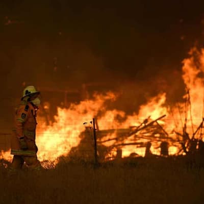 Support branch for defence veterans now fighting fires