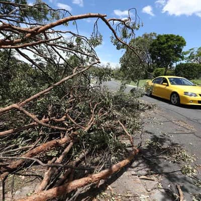 Girl among seven dead as storms ravage Queensland
