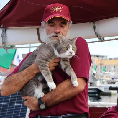 Feline good: ordinary moggie Oli finishes Sydney-Hobart