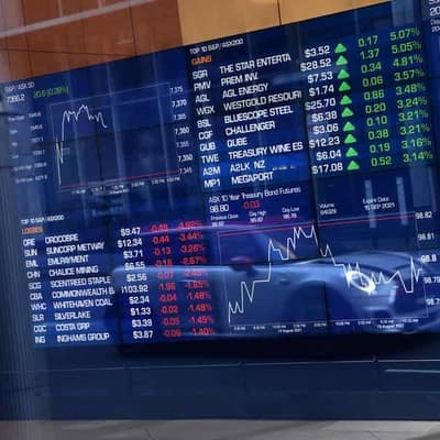 Australian shares plunge after weeks of strong gains