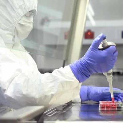 No, COVID vaccine doesn't contain aborted fetal cells
