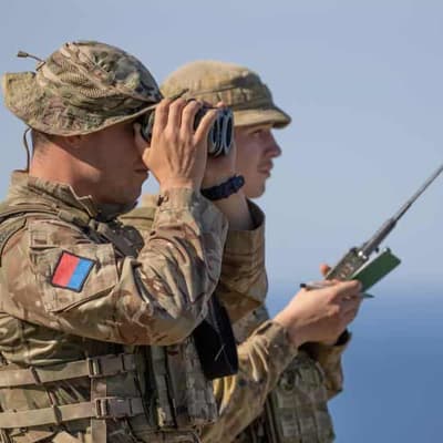 Foreign soldiers 'an option' to boost defence numbers