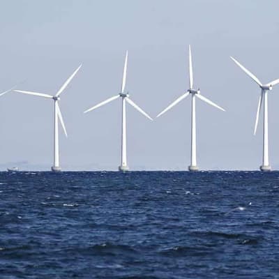 Wetlands trump offshore wind port despite energy push